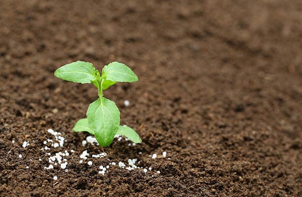 فروش کود سولفات آمونیوم دی آمونیوم پودری 21 درصد + قیمت خرید به صرفه